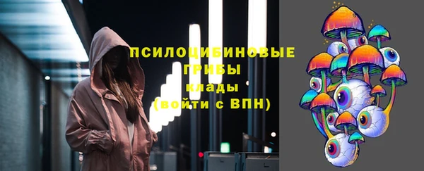 прущая мука Каменногорск