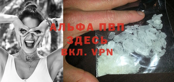 прущие грибы Покров
